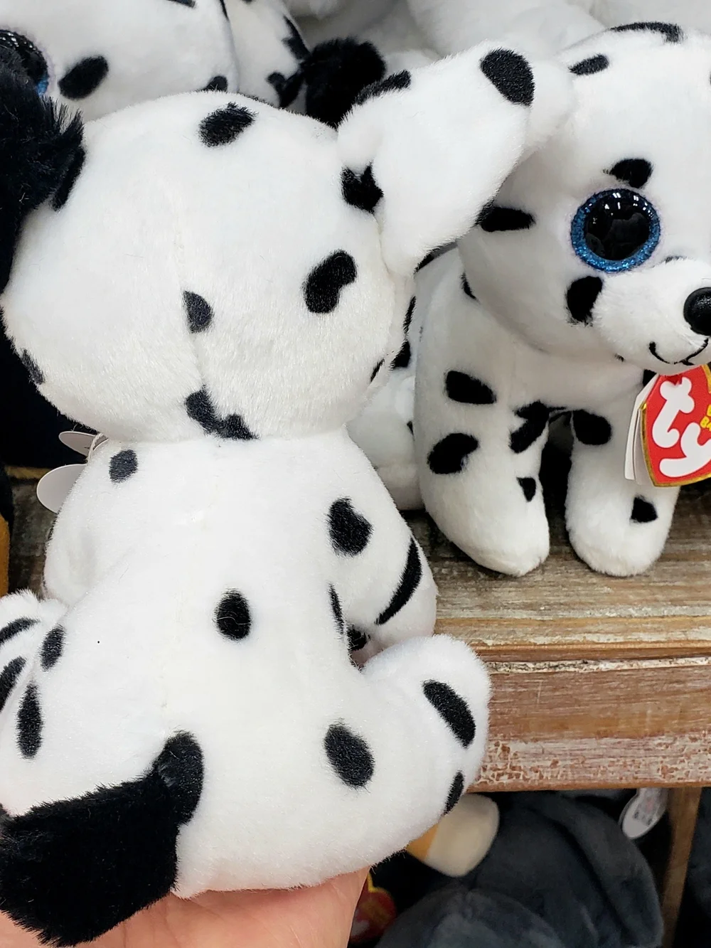 Ty cute dalmatian
